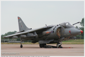 Harrier
