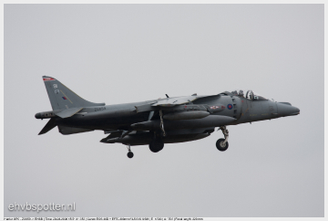 Harrier