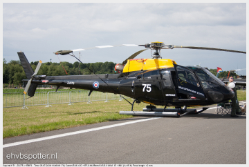 Squirrel HT1 - ZJ275_EBFS